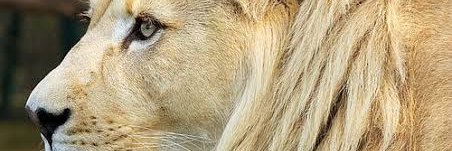 itstimgracious's profile banner image