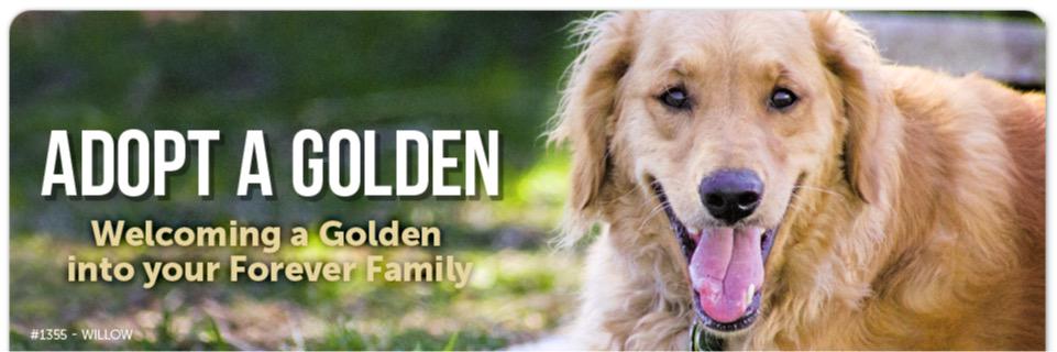 Golden Rescue banner