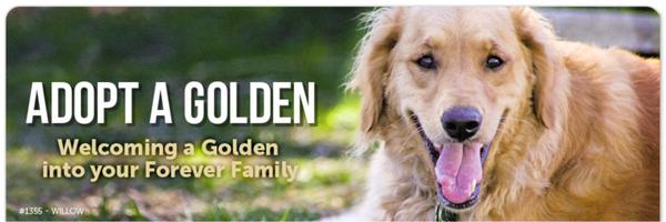 GoldenRescue Profile Banner