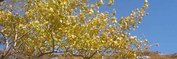 _JamieMcIntyre Profile Banner