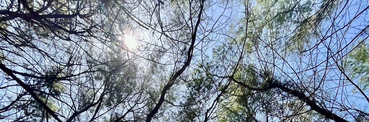 escascaesca's profile banner image