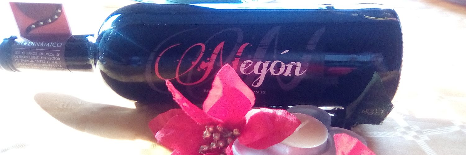 BodegaNegon's profile banner image