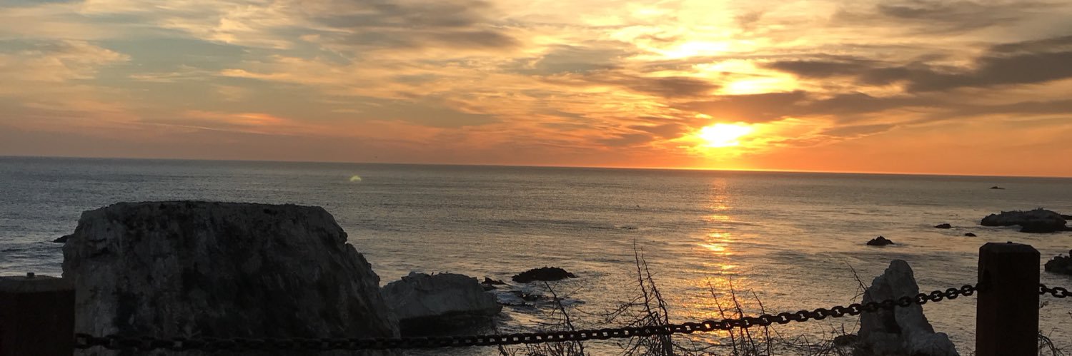 Thought Provoker🫀🦚 banner