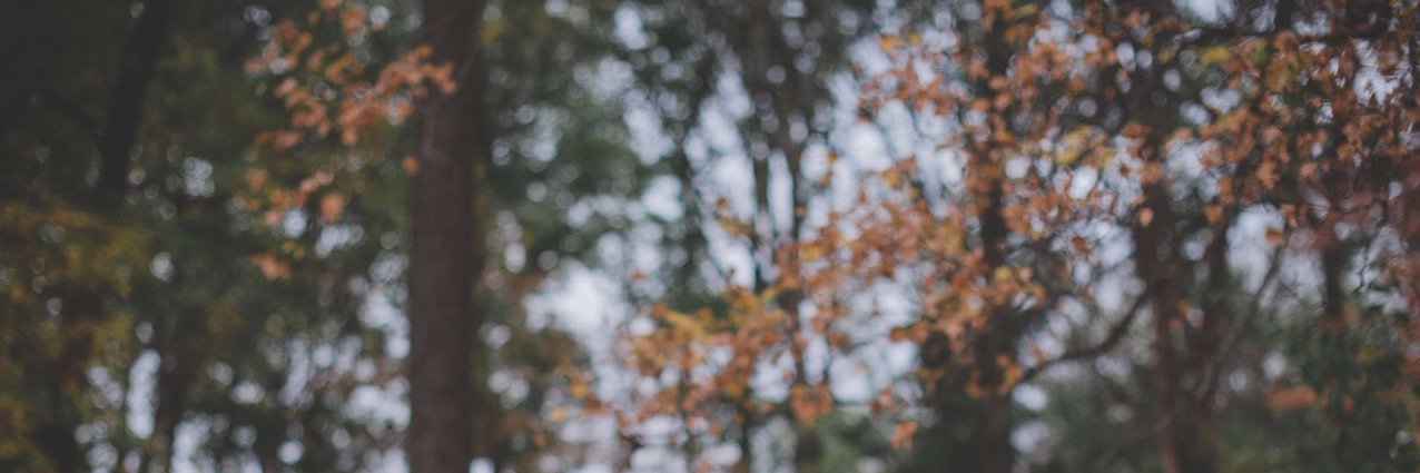 patrickgreener's profile banner image