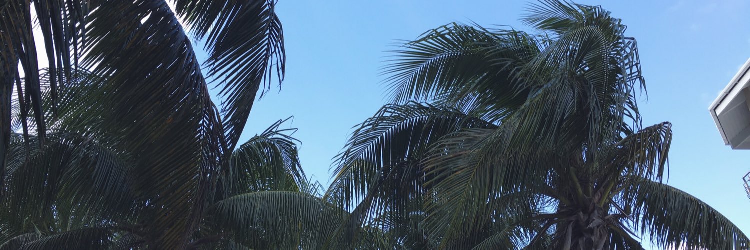abbydespanol's profile banner image
