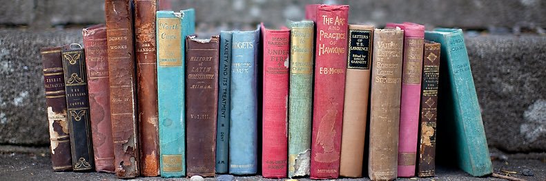 𝙵𝚊𝙻𝚎𝚜𝚜𝚑𝚊 𝙴𝚜𝚜𝚕𝚒𝚗𝚐𝚎𝚛 banner