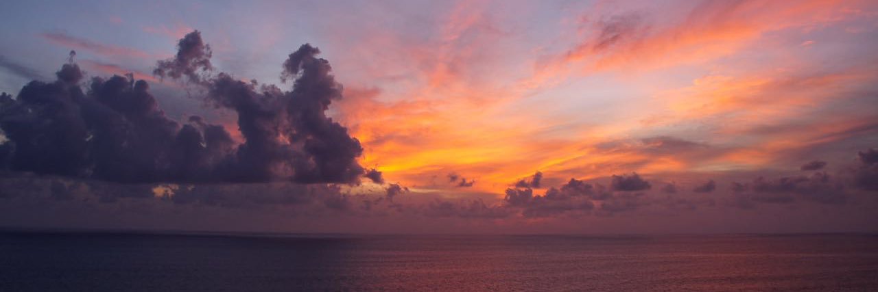 h0nestmonkey's profile banner image