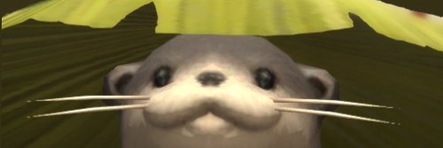 nkdoes's profile banner image