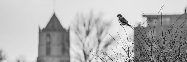 ClaesTouber Profile Banner