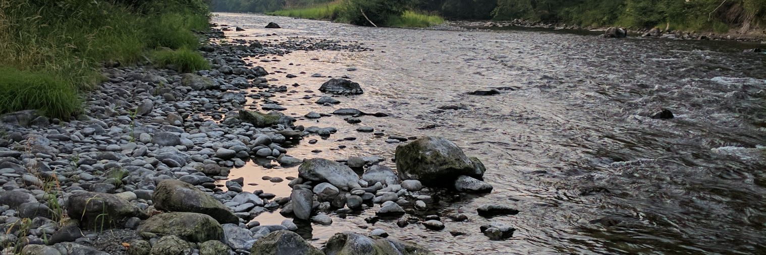 Amanda Alvis, Ph.D. banner