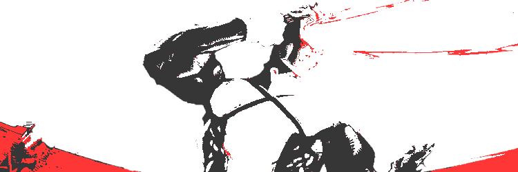 𝗦𝗟𝗜𝗠 𝗦𝗛𝗔𝗗𝗬 .ᐟ ‍ banner