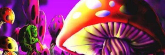 _YaBoy1998's profile banner image