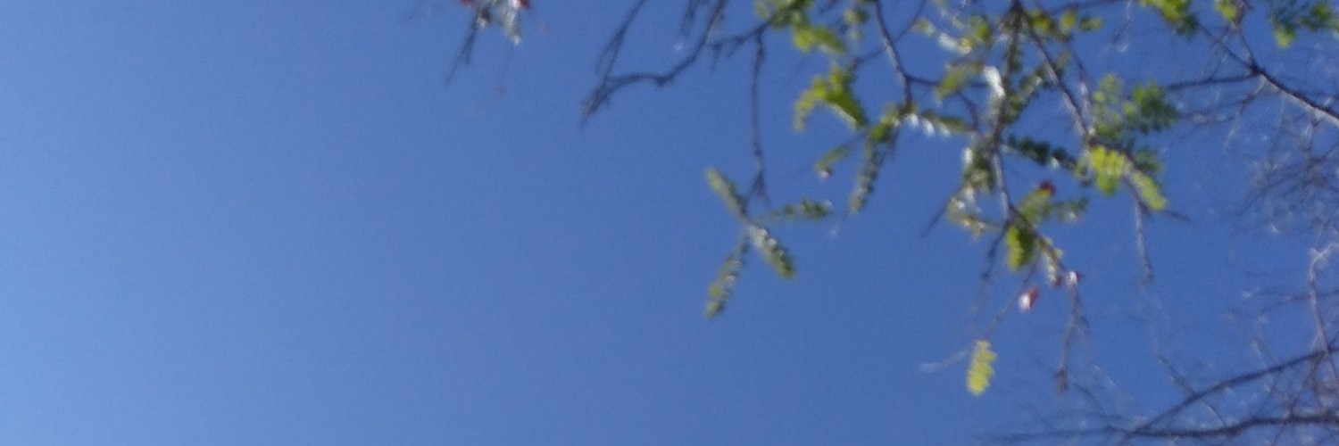 Andocaminando1's profile banner image