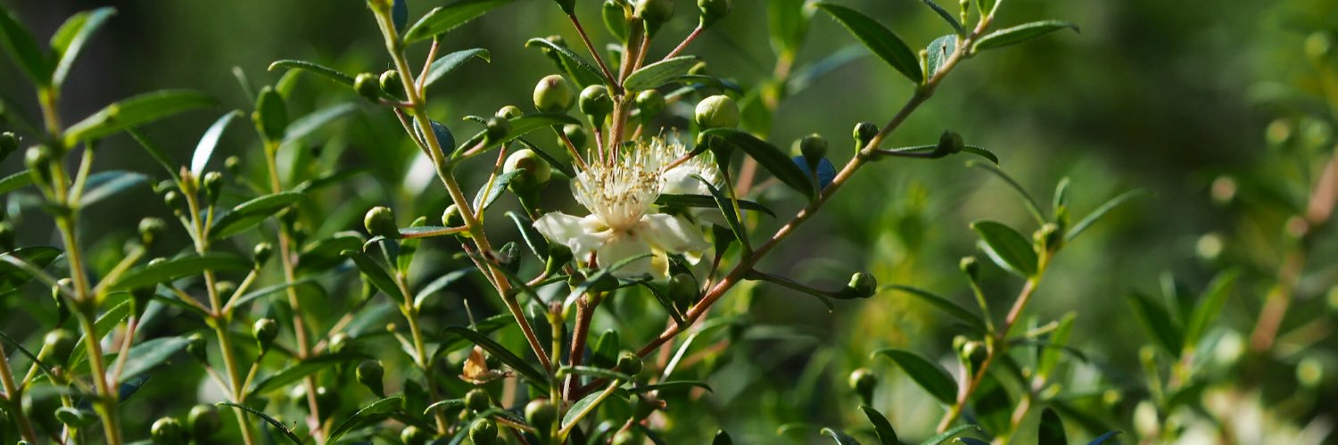 名古屋陽子 Yoko Nagoya banner