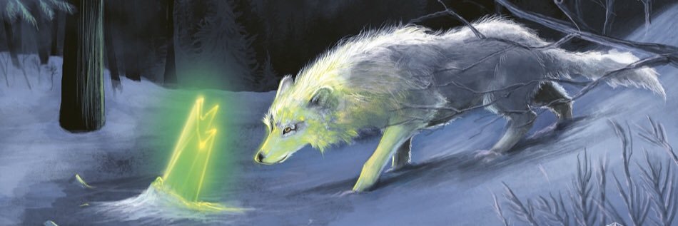 MayGrayWolf's profile banner image