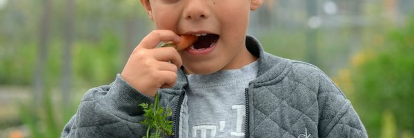 CommGardensSCV Profile Banner