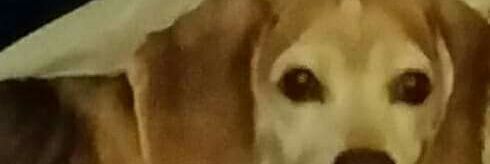 RedHairIssues's profile banner image