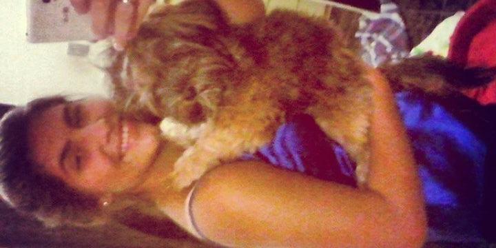 _amandira's profile banner image