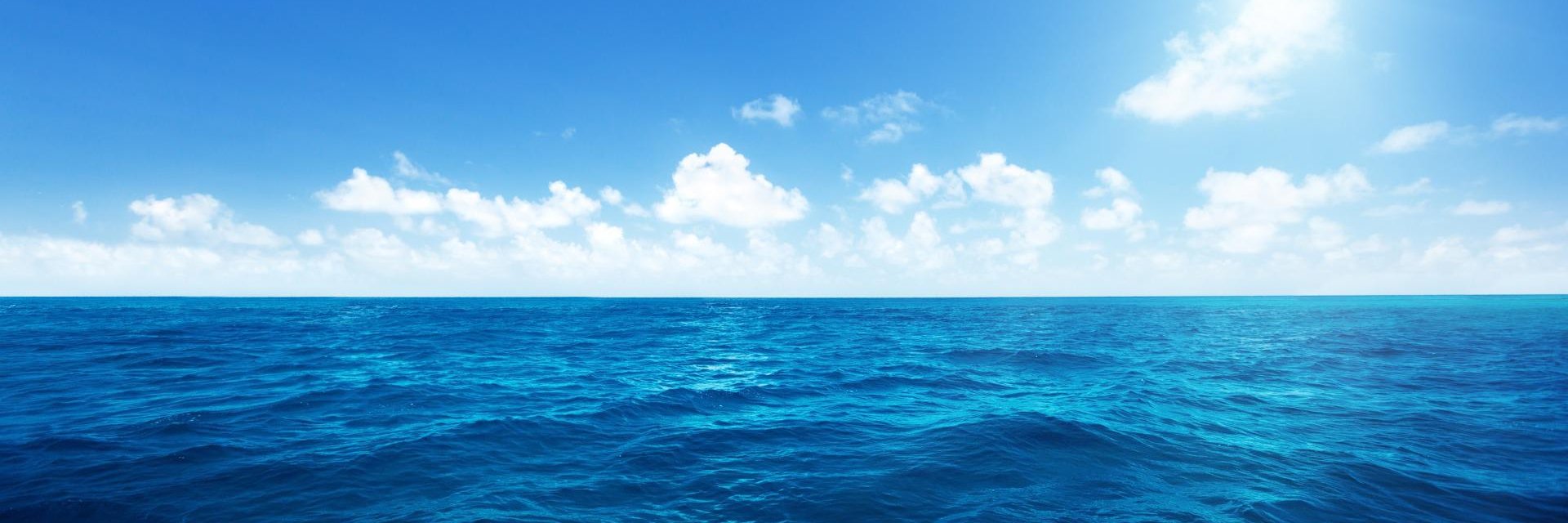 TiagoAlexander7's profile banner image