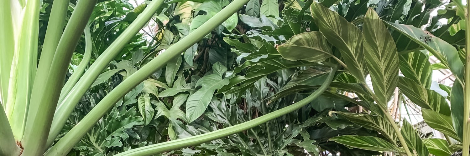 shelbybena's profile banner image