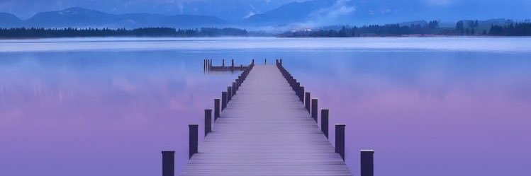 CeliaSdona's profile banner image