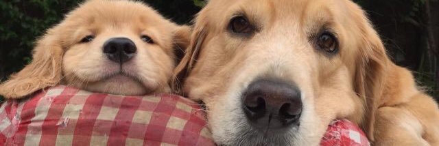katietunks's profile banner image