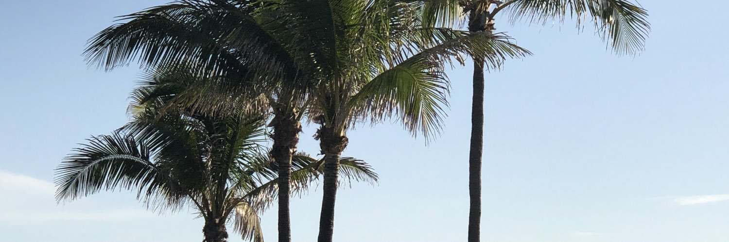 ChatWithKi_'s profile banner image