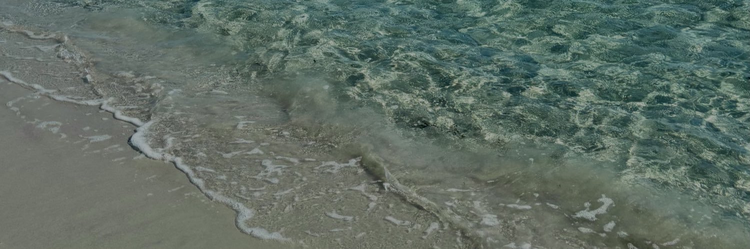 blgnelisa's profile banner image