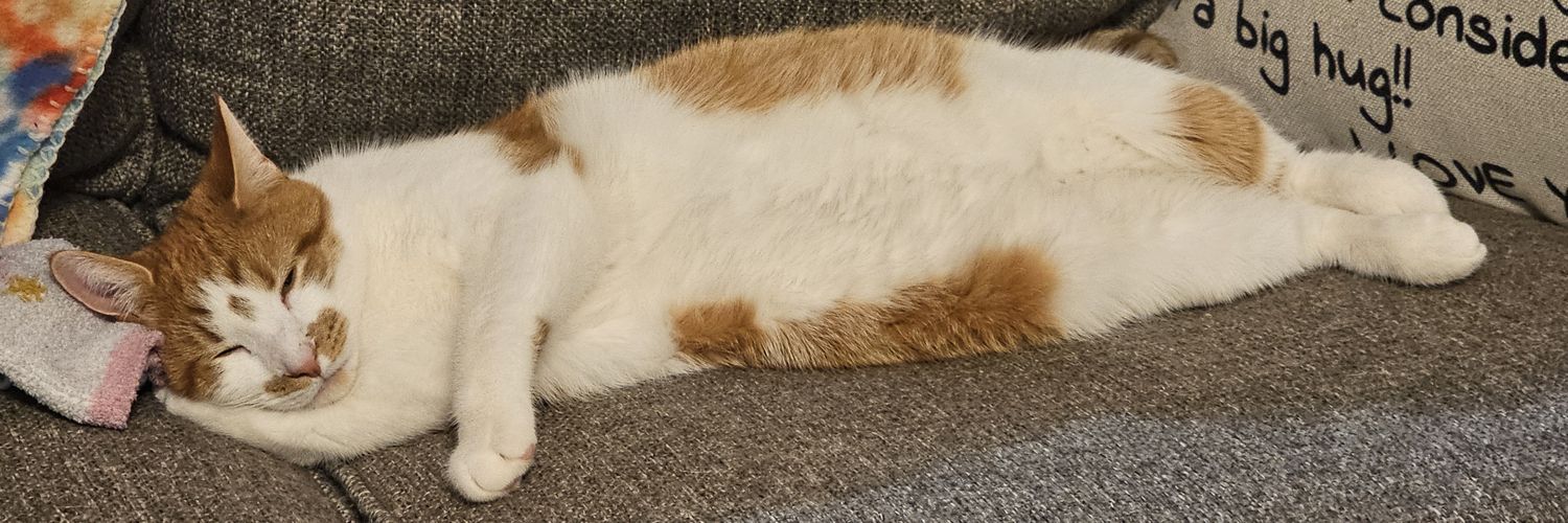 Sensei Titty Chop banner