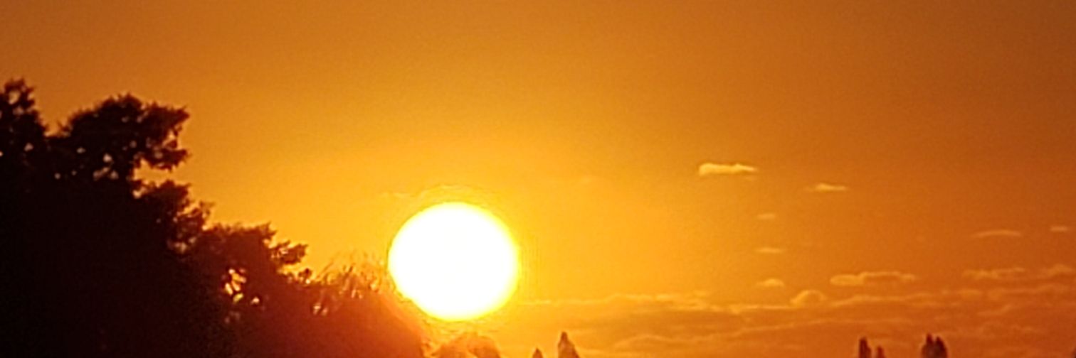 lloretz's profile banner image