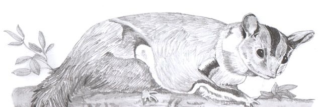rsjoh108's profile banner image