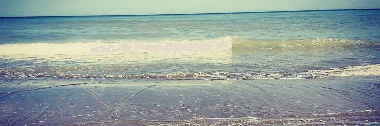 danielacrista10's profile banner image