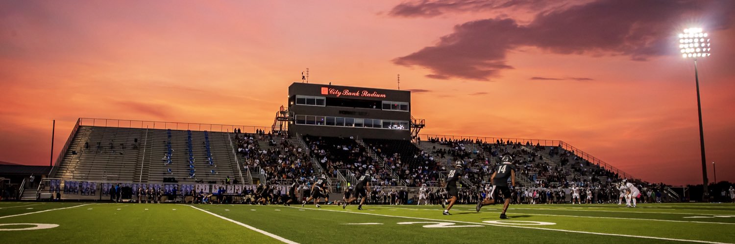 Michel Alfaro banner