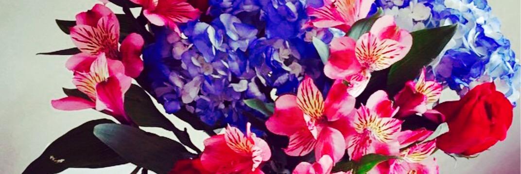 isabel_serrano9's profile banner image