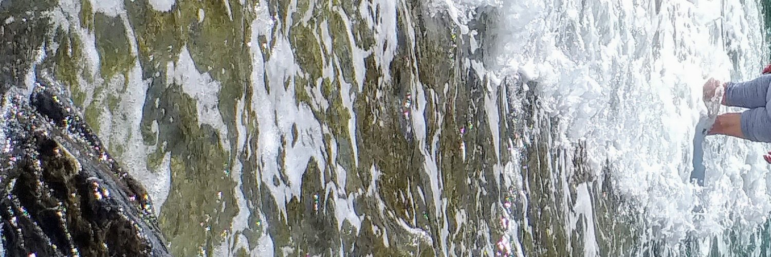 ZTaskaroglu's profile banner image