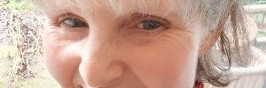Ann York banner