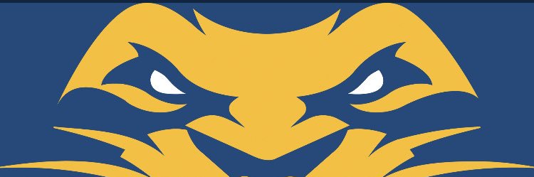 TCNJ XC / T&F banner