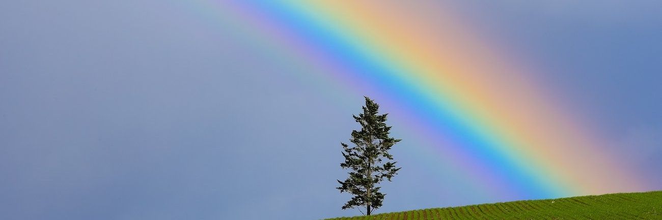 POP_OKA's profile banner image