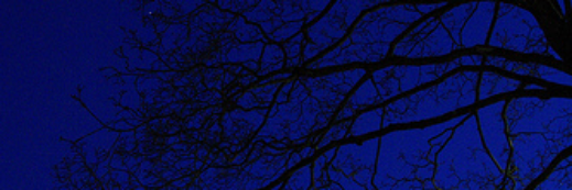 00llllX's profile banner image