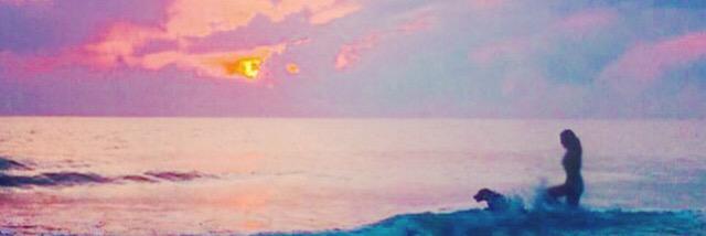 Alyssa_Toth's profile banner image