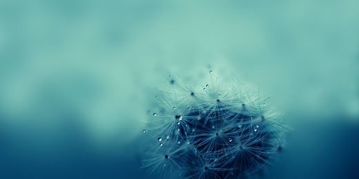 MirandaRpgfsv's profile banner image
