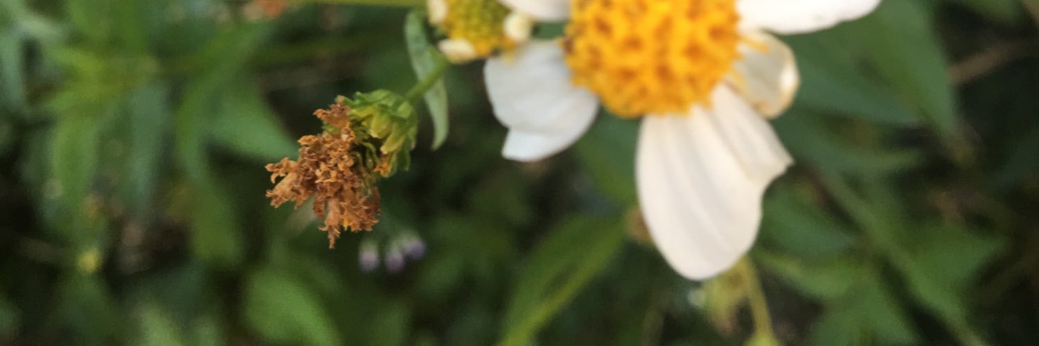 heidynorel's profile banner image