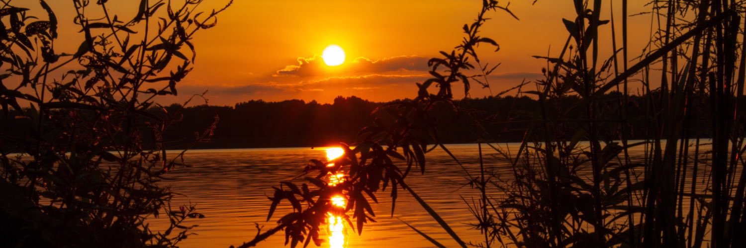 dmbreec77's profile banner image