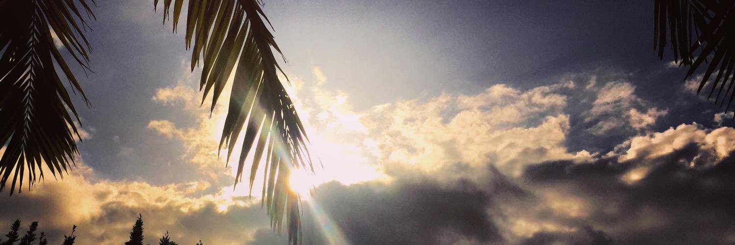 bordoncamila's profile banner image