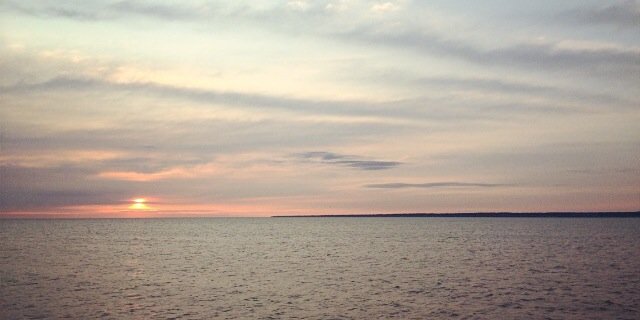 Mario Rocchio banner