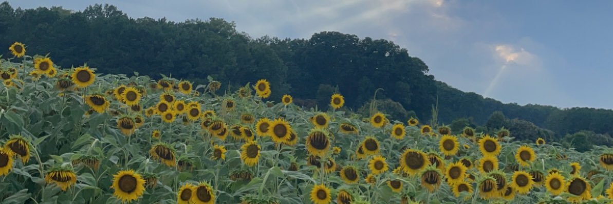 e_swyers's profile banner image