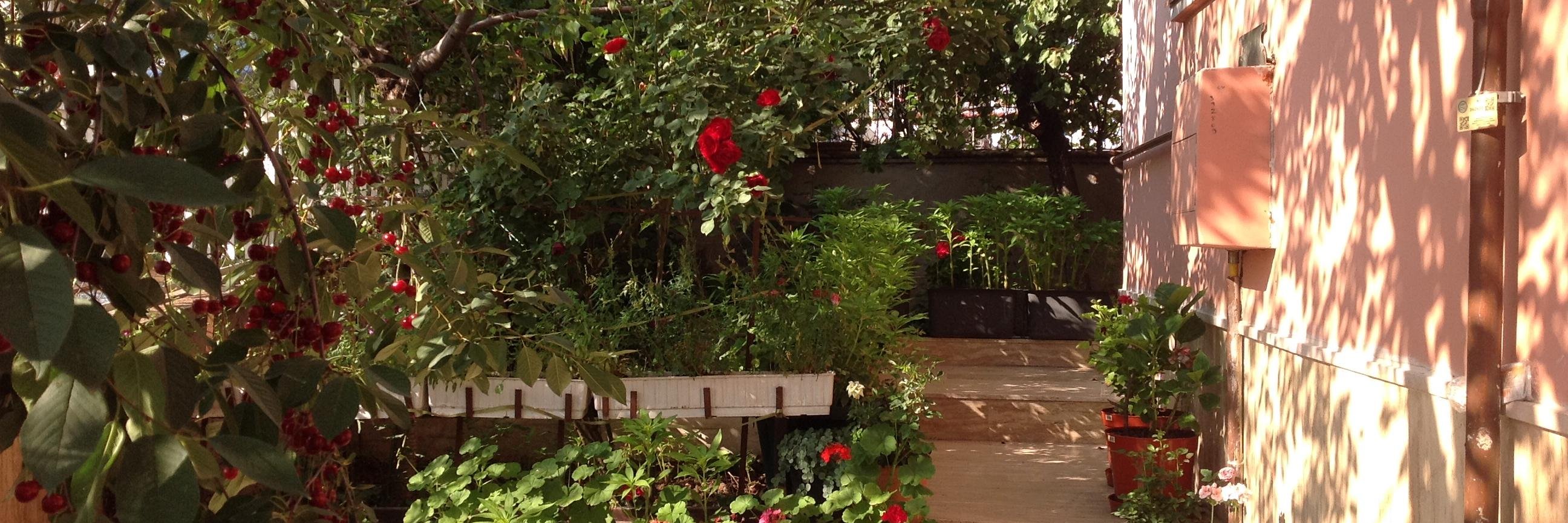 gulbinhanim's profile banner image