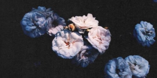 DanielleS_KIR's profile banner image