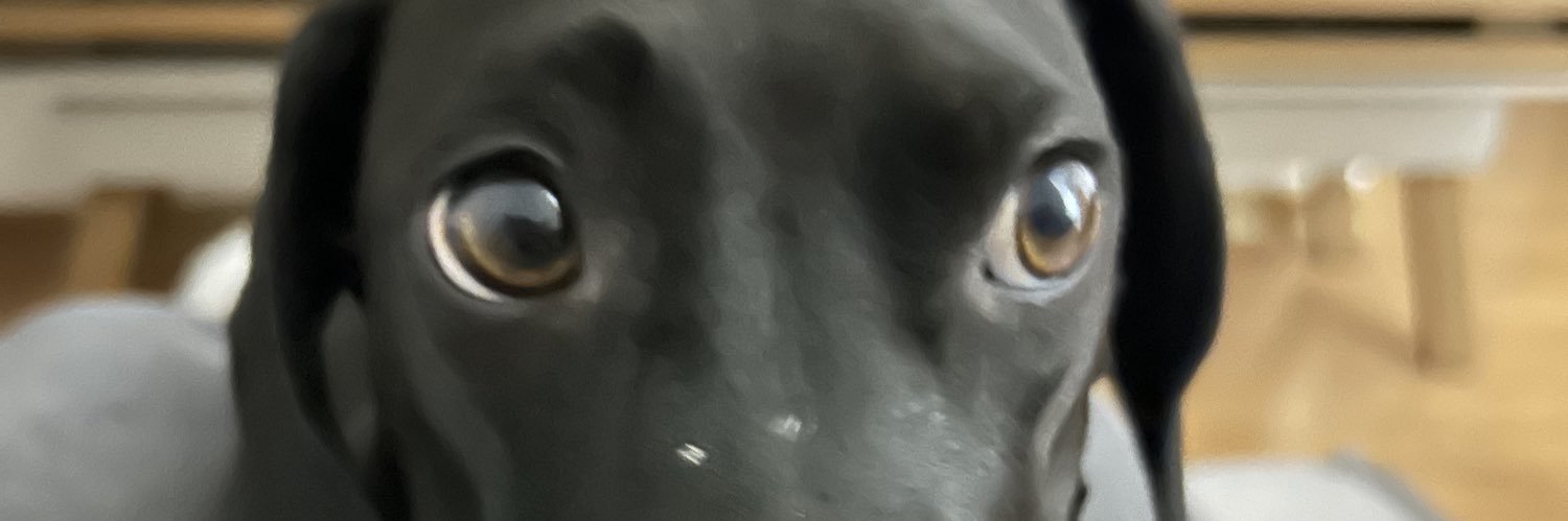 ddanichaves's profile banner image