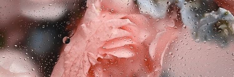 disGRASYAstin's profile banner image